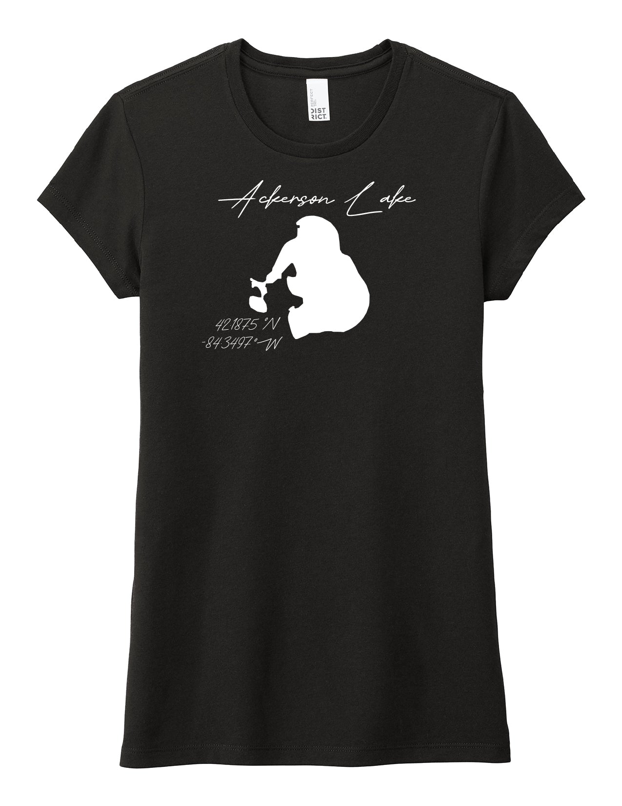 Ladies Form Fit T-Shirt